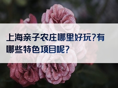 上海亲子农庄哪里好玩？有哪些特色项目呢？