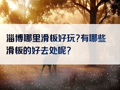 淄博哪里滑板好玩？有哪些滑板的好去处呢？