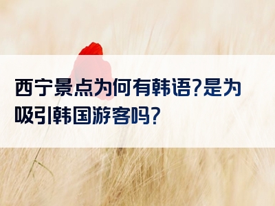 西宁景点为何有韩语？是为吸引韩国游客吗？