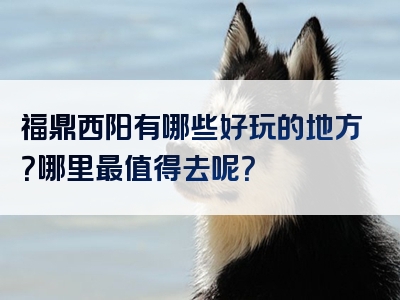 福鼎西阳有哪些好玩的地方？哪里最值得去呢？
