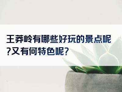 王莽岭有哪些好玩的景点呢？又有何特色呢？