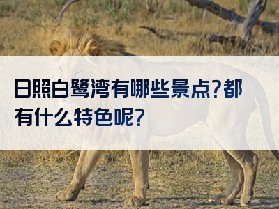 日照白鹭湾有哪些景点？都有什么特色呢？