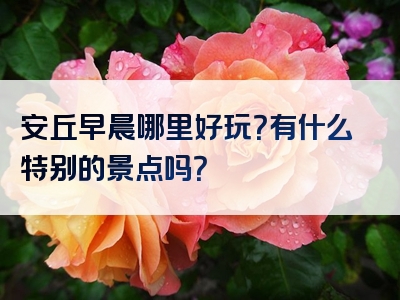 安丘早晨哪里好玩？有什么特别的景点吗？