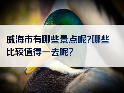威海市有哪些景点呢？哪些比较值得一去呢？