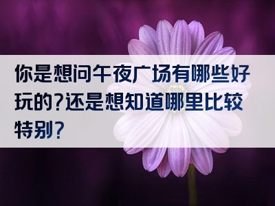 你是想问午夜广场有哪些好玩的？还是想知道哪里比较特别？