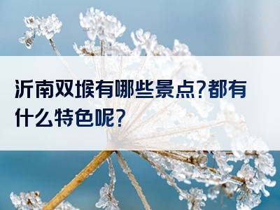 沂南双堠有哪些景点？都有什么特色呢？
