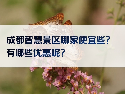 成都智慧景区哪家便宜些？有哪些优惠呢？