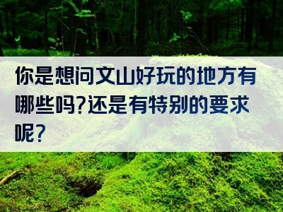 你是想问文山好玩的地方有哪些吗？还是有特别的要求呢？