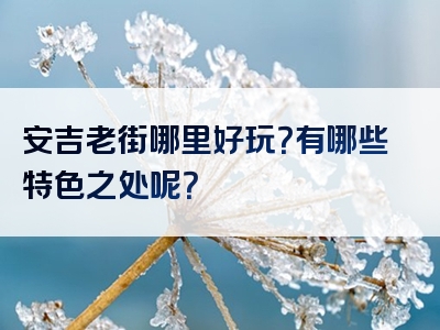安吉老街哪里好玩？有哪些特色之处呢？