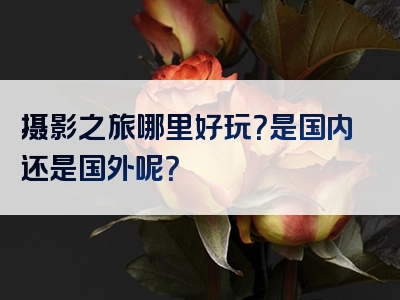 摄影之旅哪里好玩？是国内还是国外呢？