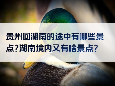 贵州回湖南的途中有哪些景点？湖南境内又有啥景点？