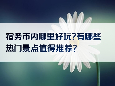 宿务市内哪里好玩？有哪些热门景点值得推荐？