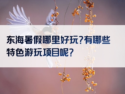东海暑假哪里好玩？有哪些特色游玩项目呢？
