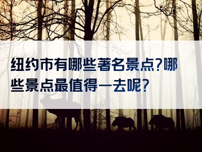 纽约市有哪些著名景点？哪些景点最值得一去呢？