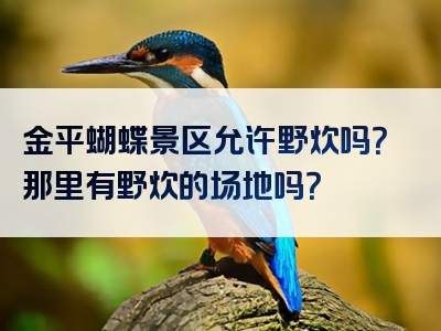 金平蝴蝶景区允许野炊吗？那里有野炊的场地吗？