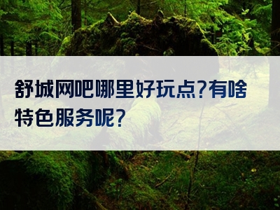 舒城网吧哪里好玩点？有啥特色服务呢？