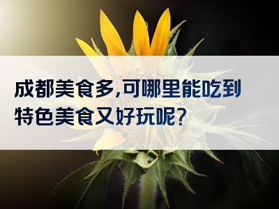 成都美食多，可哪里能吃到特色美食又好玩呢？