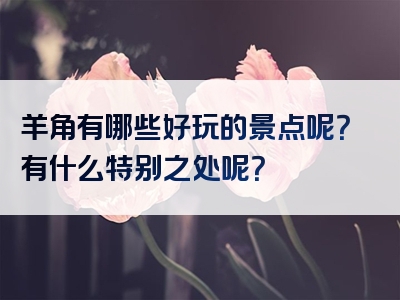 羊角有哪些好玩的景点呢？有什么特别之处呢？