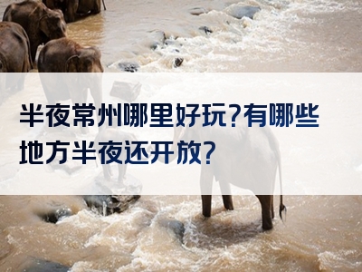 半夜常州哪里好玩？有哪些地方半夜还开放？
