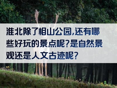 淮北除了相山公园，还有哪些好玩的景点呢？是自然景观还是人文古迹呢？