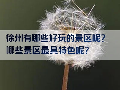 徐州有哪些好玩的景区呢？哪些景区最具特色呢？