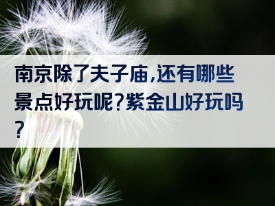南京除了夫子庙，还有哪些景点好玩呢？紫金山好玩吗？