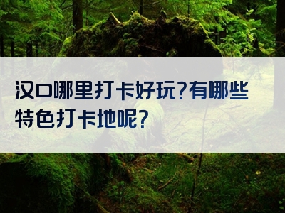 汉口哪里打卡好玩？有哪些特色打卡地呢？