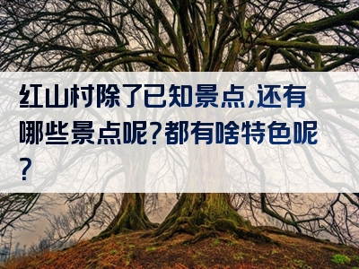 红山村除了已知景点，还有哪些景点呢？都有啥特色呢？