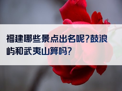 福建哪些景点出名呢？鼓浪屿和武夷山算吗？