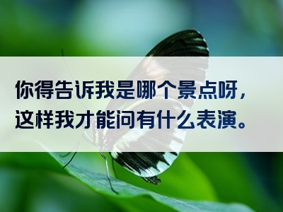 你得告诉我是哪个景点呀，这样我才能问有什么表演。
