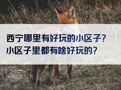 西宁哪里有好玩的小区子？小区子里都有啥好玩的？