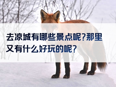 去凉城有哪些景点呢？那里又有什么好玩的呢？