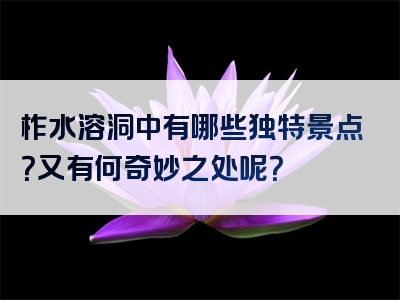 柞水溶洞中有哪些独特景点？又有何奇妙之处呢？