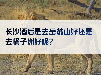 长沙酒后是去岳麓山好还是去橘子洲好呢？