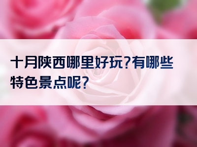 十月陕西哪里好玩？有哪些特色景点呢？