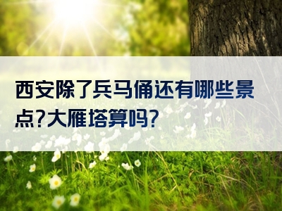 西安除了兵马俑还有哪些景点？大雁塔算吗？