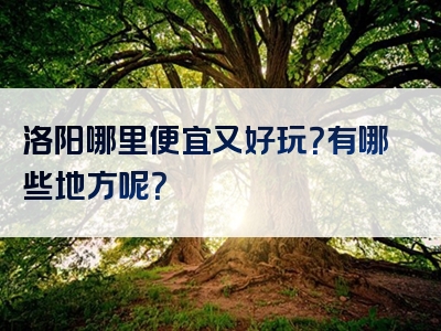 洛阳哪里便宜又好玩？有哪些地方呢？