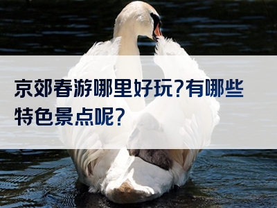 京郊春游哪里好玩？有哪些特色景点呢？