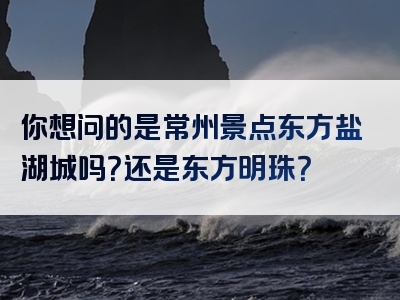 你想问的是常州景点东方盐湖城吗？还是东方明珠？
