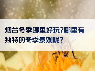 烟台冬季哪里好玩？哪里有独特的冬季景观呢？
