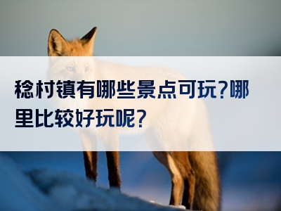 稔村镇有哪些景点可玩？哪里比较好玩呢？