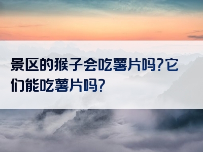 景区的猴子会吃薯片吗？它们能吃薯片吗？