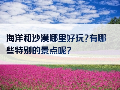 海洋和沙漠哪里好玩？有哪些特别的景点呢？