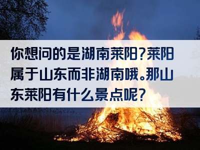 你想问的是湖南莱阳？莱阳属于山东而非湖南哦。那山东莱阳有什么景点呢？