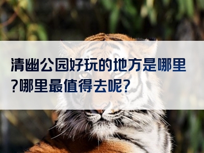 清幽公园好玩的地方是哪里？哪里最值得去呢？