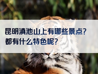 昆明滇池山上有哪些景点？都有什么特色呢？