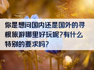 你是想问国内还是国外的寻根旅游哪里好玩呢？有什么特别的要求吗？