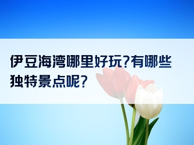 伊豆海湾哪里好玩？有哪些独特景点呢？