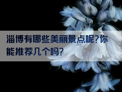淄博有哪些美丽景点呢？你能推荐几个吗？