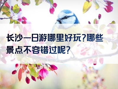 长沙一日游哪里好玩？哪些景点不容错过呢？